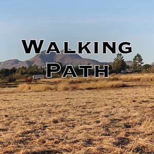 walking path 2 copy